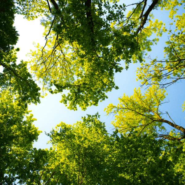 Selecting the right environment for your UPS system